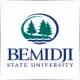 Bemidji State University - Sociology & Anthropology School Ranking