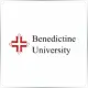 Benedictine University - Sociology & Anthropology School Ranking