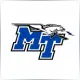Middle Tennessee State University - Sociology & Anthropology School Ranking