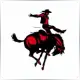 Northwestern Oklahoma State University - Sociology & Anthropology School Ranking