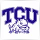 Texas Christian University - Sociology & Anthropology School Ranking