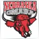 University of Nebraska at Omaha - Sociology & Anthropology School Ranking
