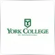 York College Pennsylvania - Sociology & Anthropology School Ranking